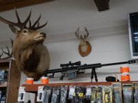 Summer Vacation 2018-190  Hmmmm